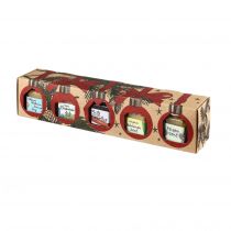 Puntzelhof - Weihnachts Genuss Box mit 5x50ml feinste Senfspezialitäten